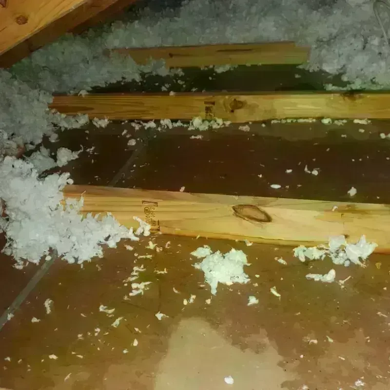 Attic Water Damage in Southern Shops, SC